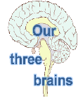 Our three brains
